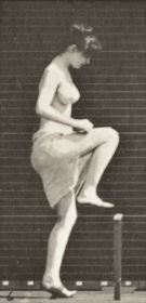 Plate 181 Stepping over a fence — figure reference